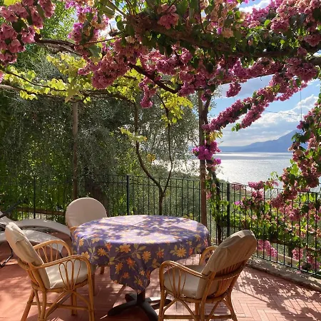 Casa Oliva Apartman *